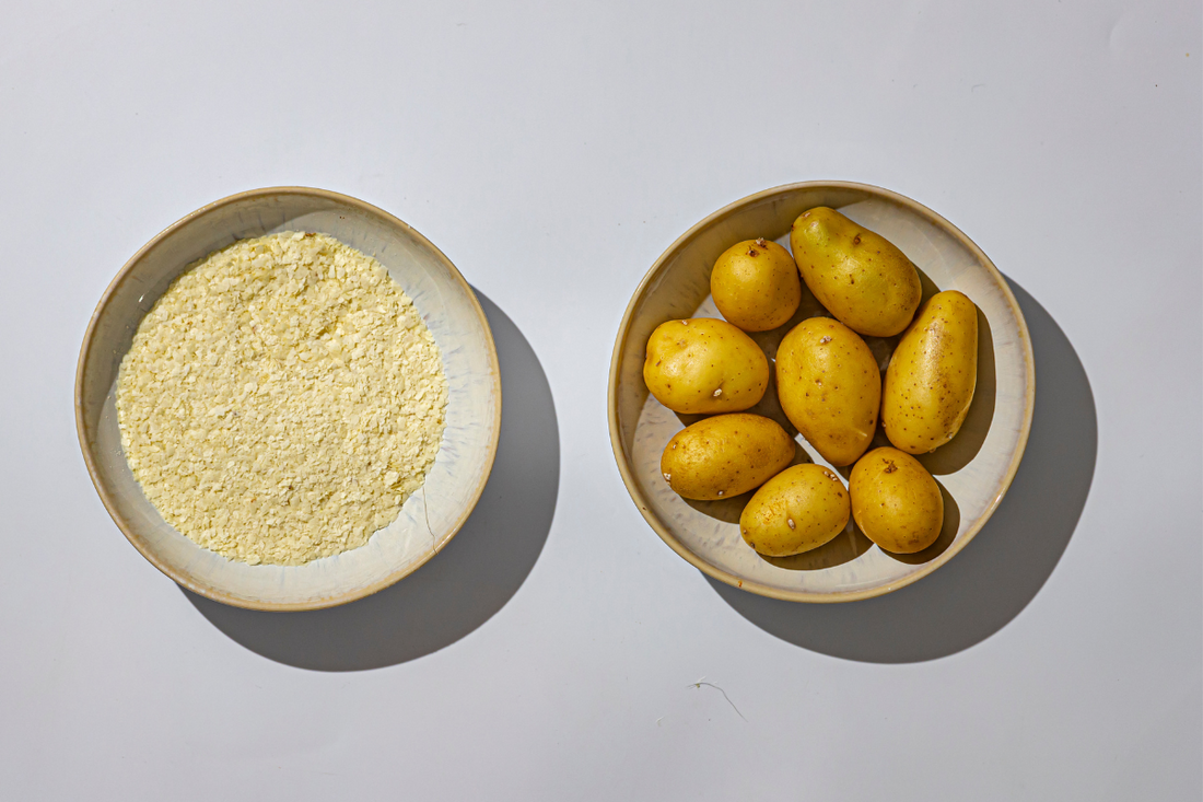 Dürfen Hunde Kartoffeln essen?