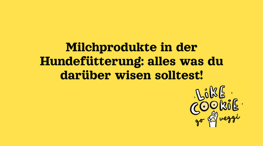Darf mein Hund Milch trinken? Wissenswertes zur Fütterung von Milchprodukten