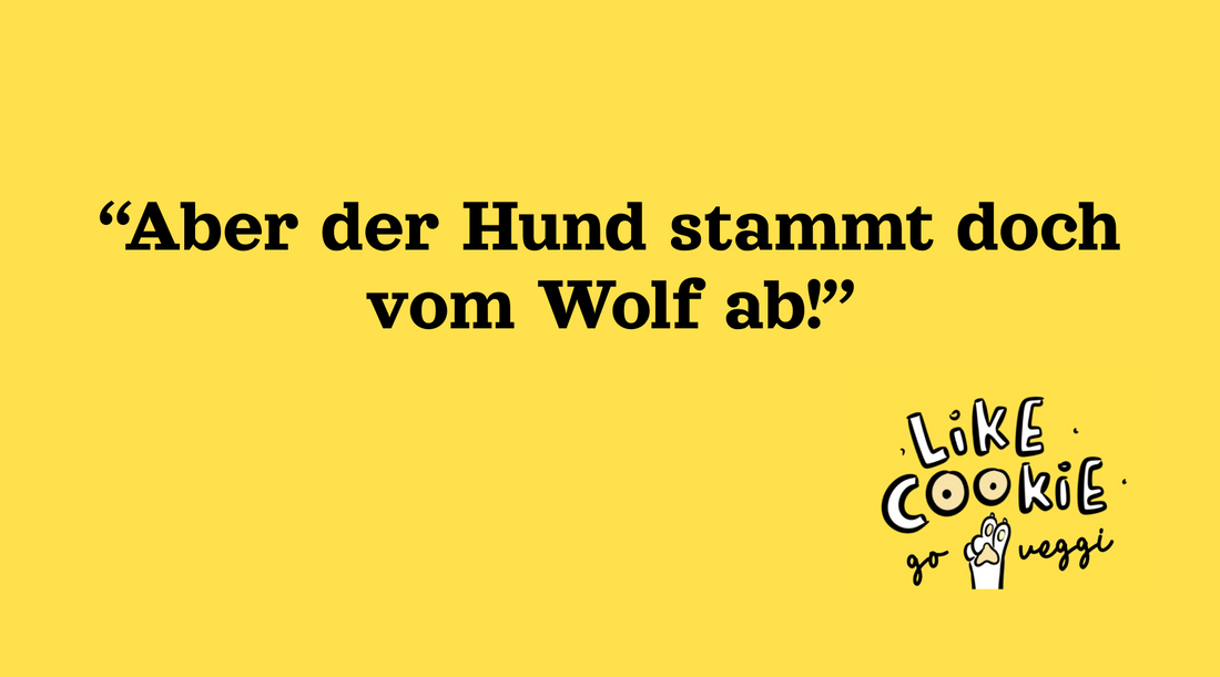 Brauchen Hunde wirklich Fleisch? Eine Betrachtung zur vegetarischen Hundeernährung