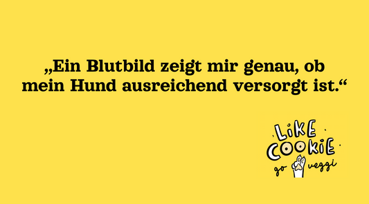 Nährstoffbedarf beim Hund: Warum Bedarfszahlen wichtig sind