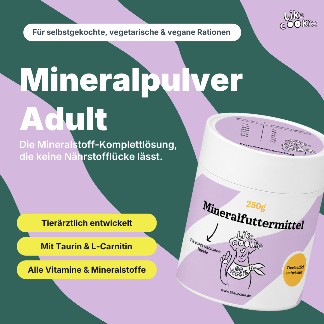 Mineralfutter Adult