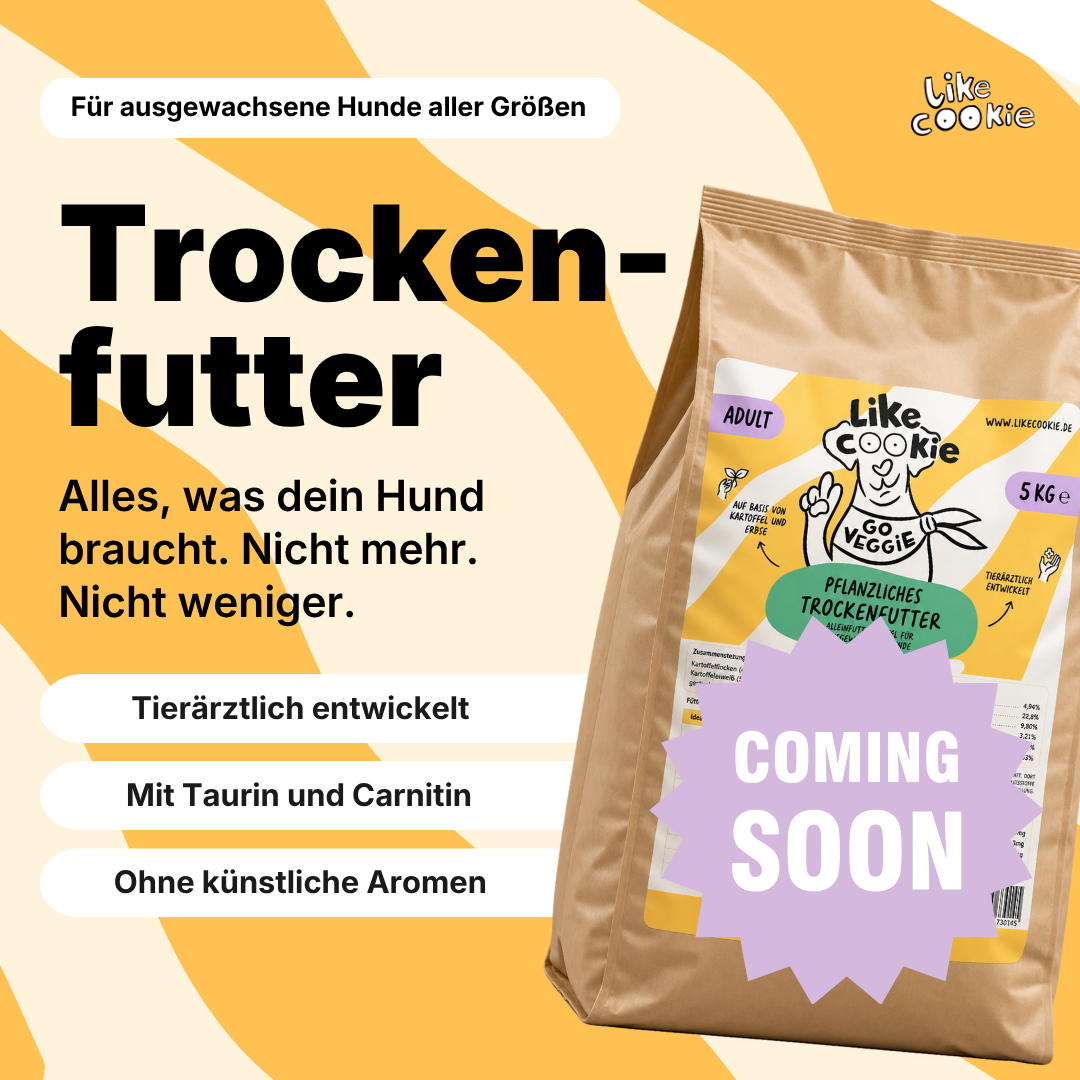 Unser Trockenfutter kommt bald!