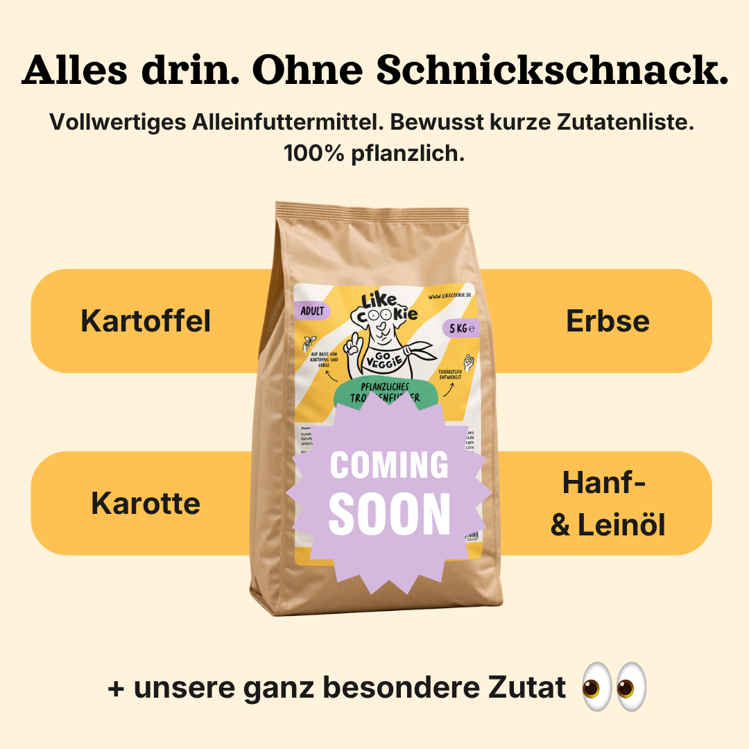 Unser Trockenfutter kommt bald!