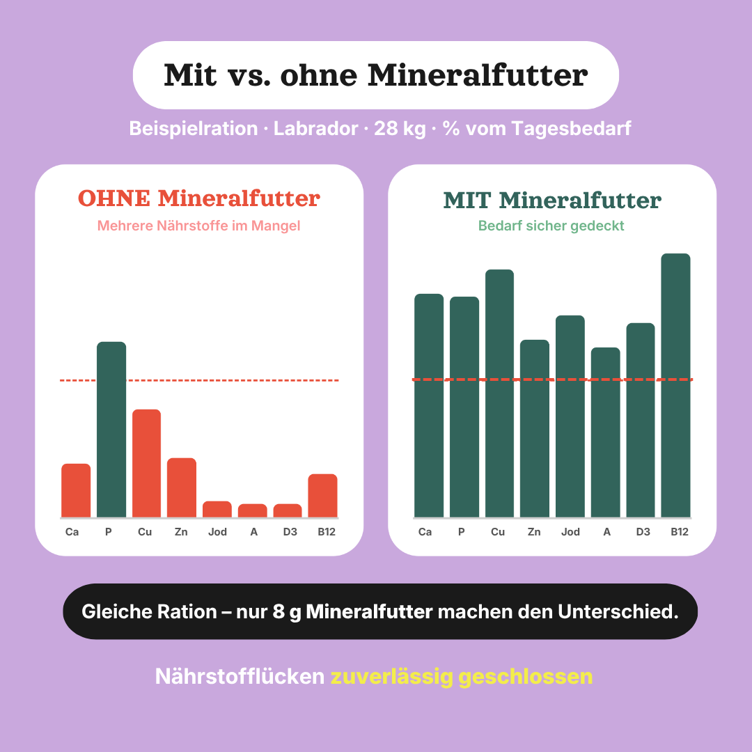 Mineralfutter Adult