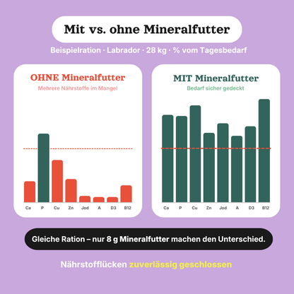 Mineralfutter Adult