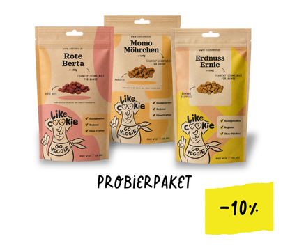 Probierpaket Leckerlies